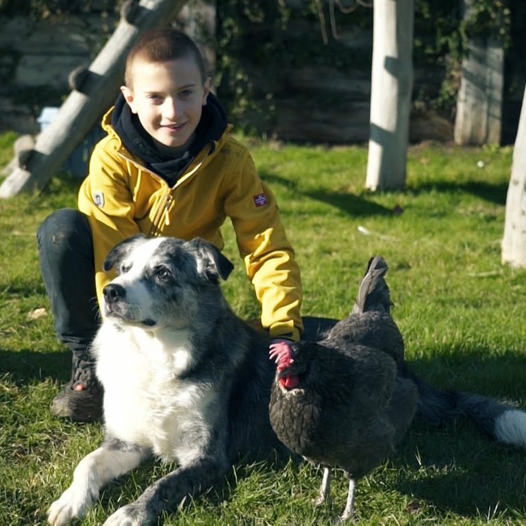 Junge, 9 Jahre alt, auf Wiese mit Huhn Julia