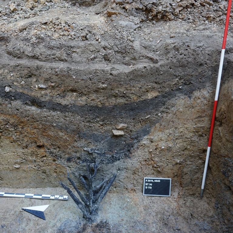 Besonderer Fund: Hölzerne Abwehrkonstruktionen der Römer bei Ausgrabungen nahe Bad Ems gefunden.