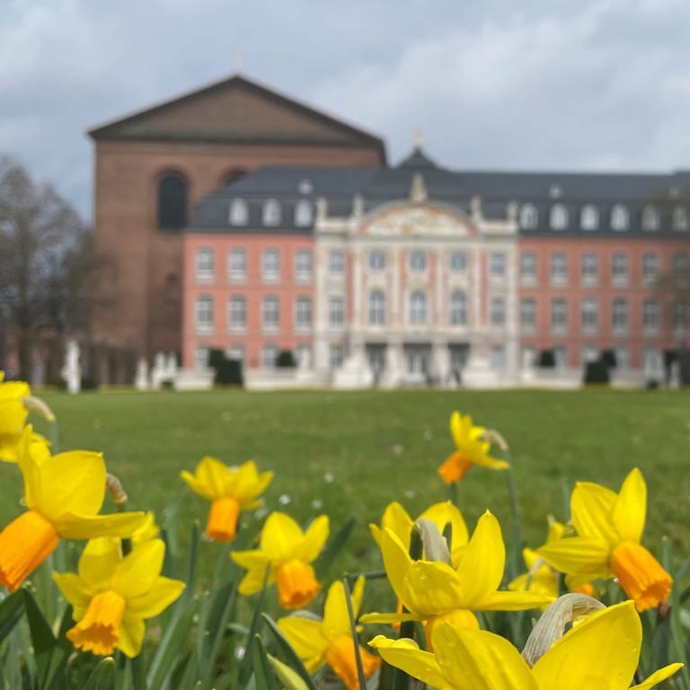 Frühlingsboten im Palastgarten in Trier.